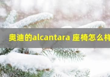 奥迪的alcantara 座椅怎么样